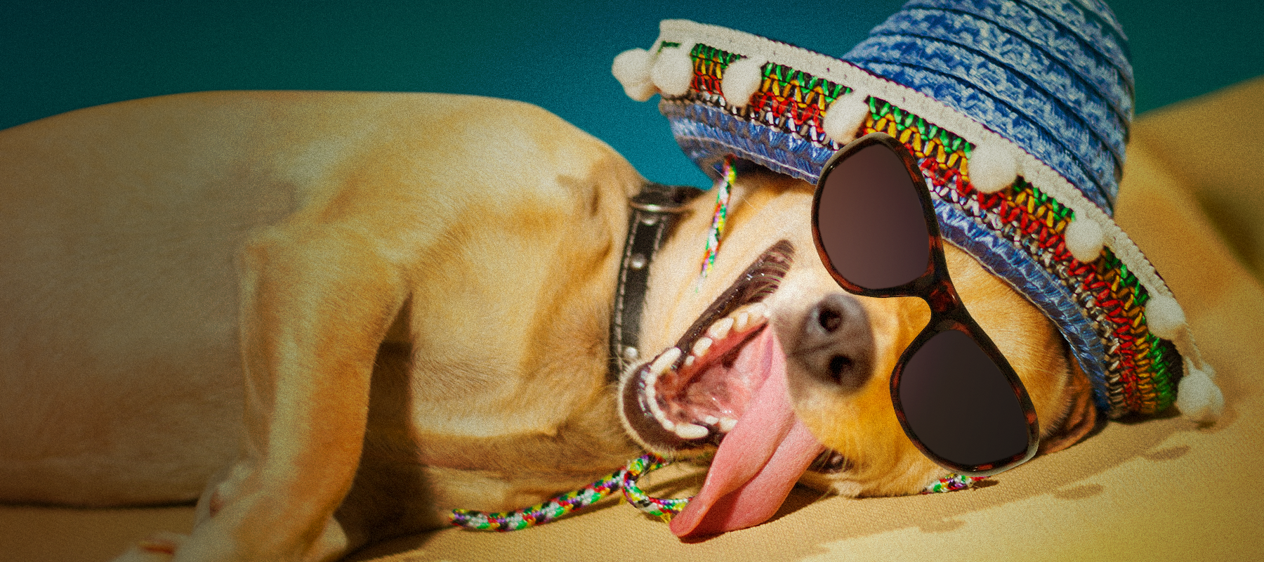 BEER Sunglasses